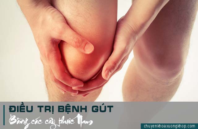 thuốc Nam trị bệnh gút