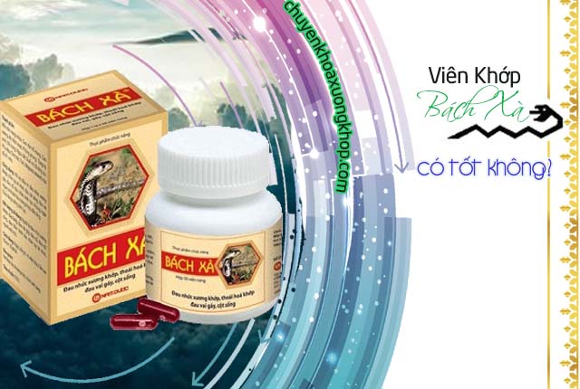 Viên khớp bách Xà