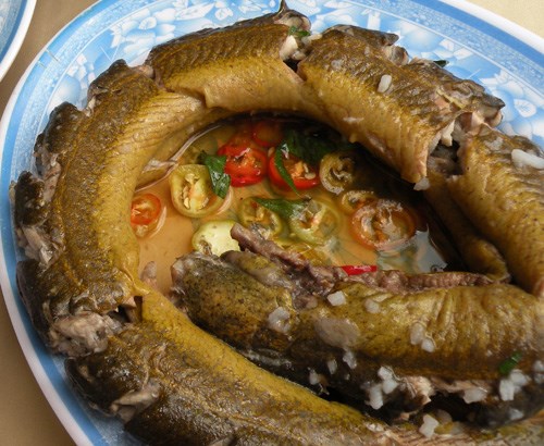 Các món ăn từ lươn giúp bổ khí huyết, mạnh gân cốt