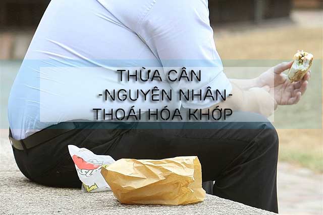 béo phì là nguyên nhân gây thoái hóa khớp