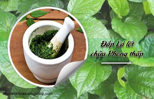 đắp lá lốt chữa phong thấp