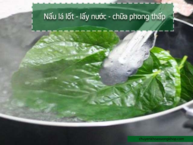 nước sắc lá lốt chữa phong thấp