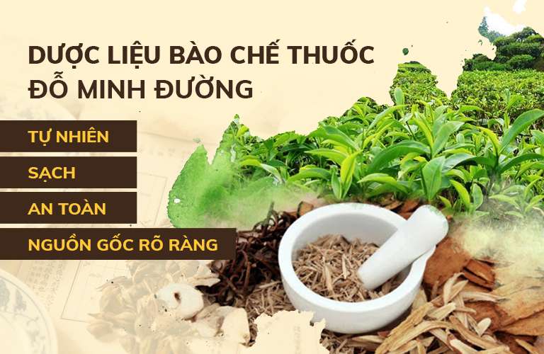 Cam kết sử dụng 100% thảo dược tự nhiên, đạt tiêu chuẩn GACP-WHO