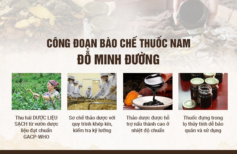 Quy trình bào chế cao thuốc Đỗ Minh Đường